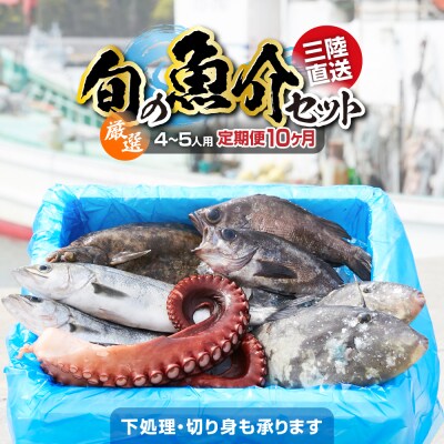 【10ヶ月定期便】厳選 三陸海の恵み詰め合わせ 4～5人用 下処理済 旬 鮮魚 海藻 新鮮
