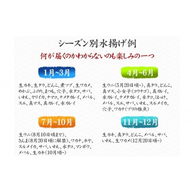 【10ヶ月定期便】厳選 三陸海の恵み詰め合わせ 4～5人用 下処理済 旬 鮮魚 海藻 新鮮