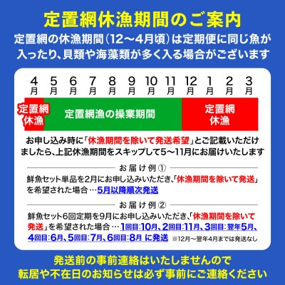 【10ヶ月定期便】厳選 三陸海の恵み詰め合わせ 4～5人用 下処理済 旬 鮮魚 海藻 新鮮