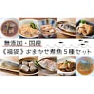 国産 無添加 煮魚 5種セット 種類おまかせ 冷凍 魚 おかず おつまみ