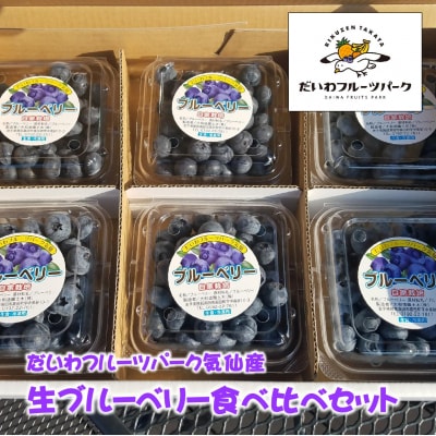 産地直送! 生ブルーベリー 200g×6個 計1.2kg 果物 フルーツ 陸前高田市産