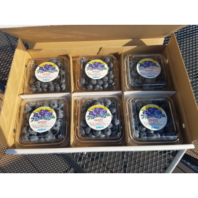 産地直送! 生ブルーベリー 200g×6個 計1.2kg 果物 フルーツ 陸前高田市産