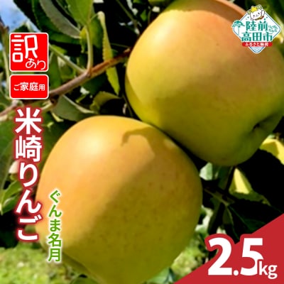先行受付 訳あり 米崎りんご ぐんま名月 2.5kg JA共選 ご家庭用 果物 りんご リンゴ