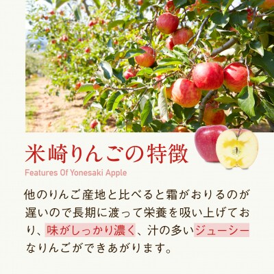 先行受付 米崎りんご3kg 品種 サンふじ 数量限定 旬 リンゴ 林檎 果物 フルーツ 家庭用 