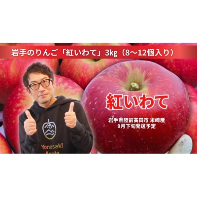 先行受付 【奇跡の果実】 米崎りんご 紅いわて 3kg リンゴ フルーツ 旬 産地直送