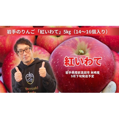 先行受付 【奇跡の果実】 米崎りんご 紅いわて 5kg リンゴ フルーツ 旬 産地直送