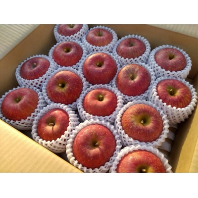 先行受付 【奇跡の果実】 米崎りんご 紅いわて 5kg リンゴ フルーツ 旬 産地直送