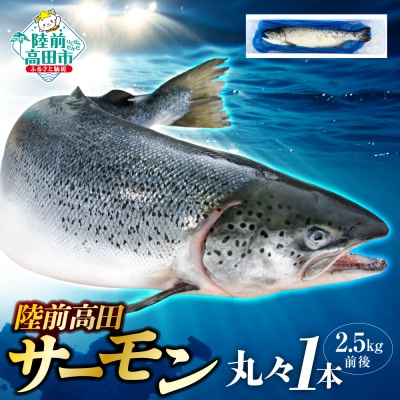 先行受付 陸前高田サーモン まるごと1本 約2.5kg 【 鮭 銀鮭 ブランド サーモン 冷蔵 】