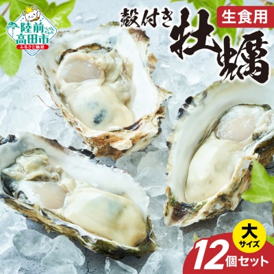 先行受付 三陸産 殻付き牡蠣 大サイズ 12個セット 一本松牡蠣 生食可 かき カキ 旬