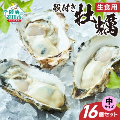先行受付 三陸産 殻付き 牡蠣 中サイズ 16個セット 一本松牡蠣 生食可 かき カキ 旬