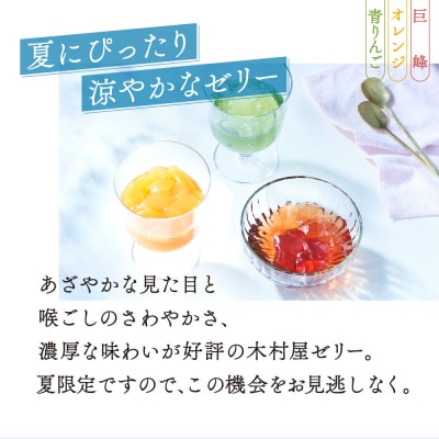 【先行受付/夏季限定】夏のひんやりデザート 木村屋ゼリー6個セット (3種類×各2個)