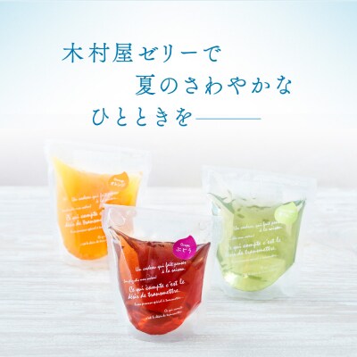 【先行受付/夏季限定】夏のひんやりデザート 木村屋ゼリー6個セット (3種類×各2個)