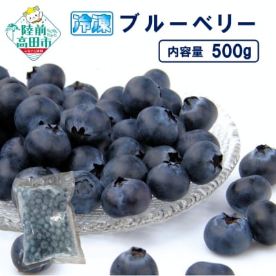 先行受付 冷凍ブルーベリー 500g×1袋 産地直送 果物 フルーツ ブルーベリー