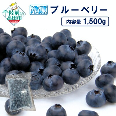 先行受付 冷凍ブルーベリー 500g×3袋 産地直送 果物 フルーツ ブルーベリー