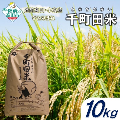 令和7年産 布袋様パッケージのひとめぼれ 10kg 千町田米(ちまちだまい)