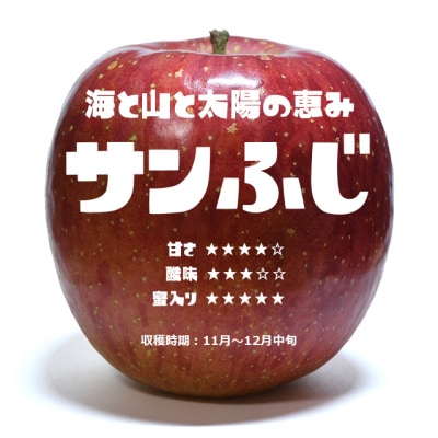 【先行受付】 サンふじ入り! りんご食べ比べBOX ( 家庭用×小玉) 8個入り