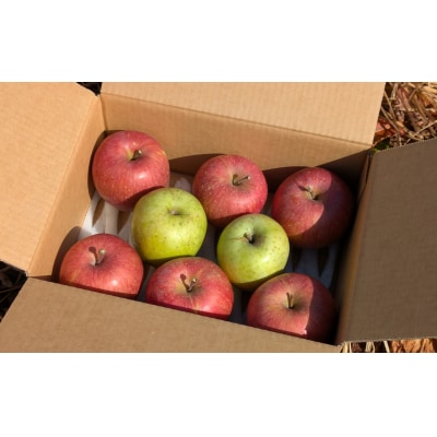 【先行受付】 サンふじ入り! りんご食べ比べBOX ( 家庭用×小玉) 8個入り