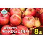 【先行受付】 旬の小玉りんご 2種8個入り 【 家庭用 訳あり フルーツ 果物 】