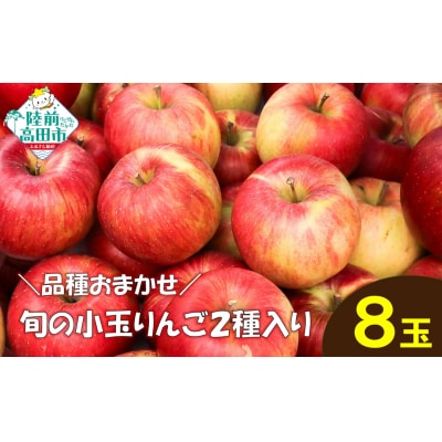 【先行受付】 旬の小玉りんご 2種8個入り 【 家庭用 訳あり フルーツ 果物 】