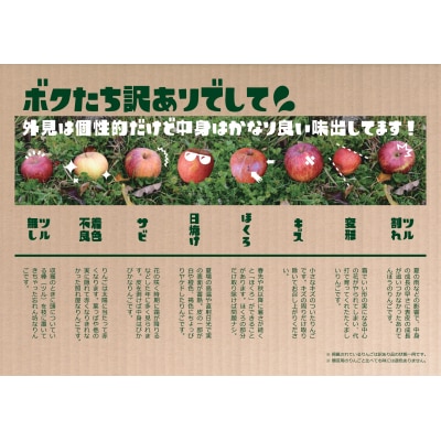 【先行受付】 旬の小玉りんご 2種8個入り 【 家庭用 訳あり フルーツ 果物 】