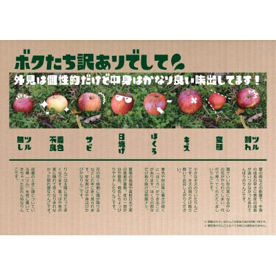 旬の小玉りんご 2種8個入り 【 家庭用 訳あり フルーツ 果物 】