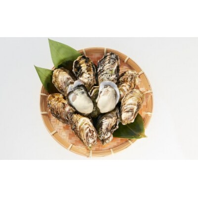 殻付きぽっちゃり牡蠣 12個セット シングルシード カキ かき 三陸産