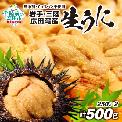 【先行受付】 三陸産 生うに 500g(250g×2パック) 塩水パック 無添加 ミョウバン不使用