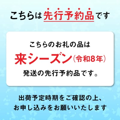 【先行受付】 三陸産 生うに 500g(250g×2パック) 塩水パック 無添加 ミョウバン不使用