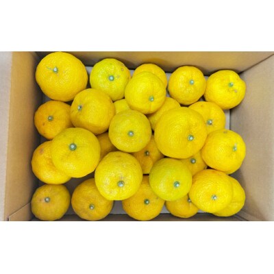 ご家庭用 北限のゆず 約2kg 柚子 柑橘 フルーツ 旬