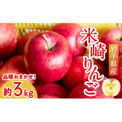 陸前高田市産 米崎りんご 約3kg 品種おまかせ ★海の見えるりんご屋「つなぎ」★ 旬 りんご