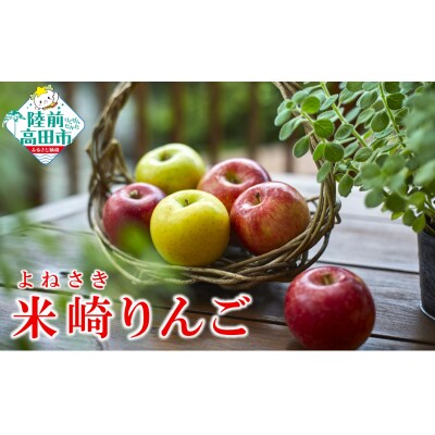 《旬のりんごをお届け!》 米崎りんご 品種おまかせ 約2.5kg りんご マルキヨファーム