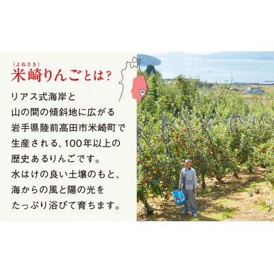 《旬のりんごをお届け!》 米崎りんご 品種おまかせ 約2.5kg りんご マルキヨファーム