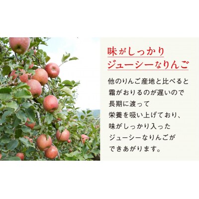 《旬のりんごをお届け!》 米崎りんご 品種おまかせ 約2.5kg りんご マルキヨファーム