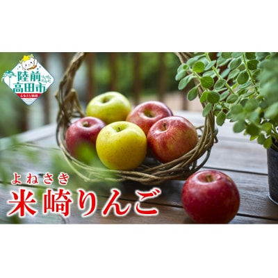 《旬のりんごをお届け!》 米崎りんご 品種おまかせ 約5kg りんご マルキヨファーム