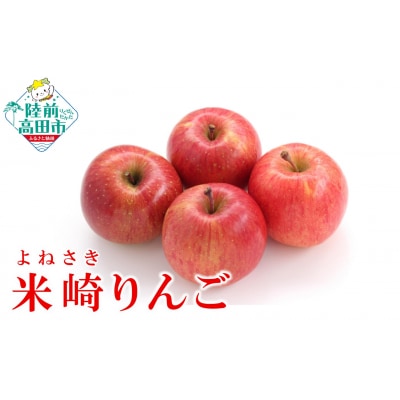 先行受付 旬のりんご 約2.5kg 品種 ふじ 米崎りんご マルキヨファーム