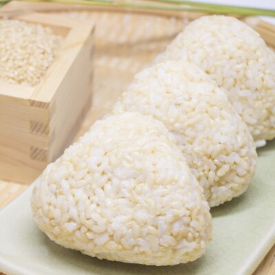 【陸前高田市ブランド米】 令和7年産 玄米 5kg 品種:たかたのゆめ 米 おにぎり お弁当