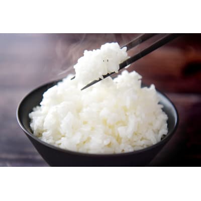 ★新米★ 令和7年産 ひとめぼれ 5kg 白米 米 おにぎり お弁当