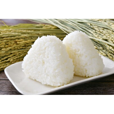 令和7年産 ひとめぼれ 10kg 白米 米 お米 精米 おにぎり お弁当 ふっくら もっちり