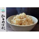 ★新米★ 令和7年産 ひとめぼれ 5kg 玄米 米 おにぎり お弁当