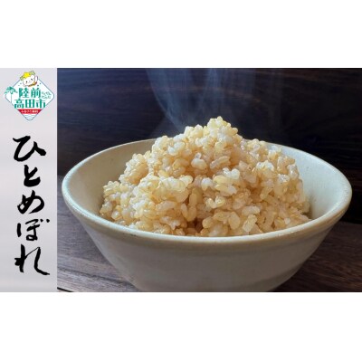 令和7年産 ひとめぼれ 5kg 玄米 米 お米 精米 おにぎり お弁当 ふっくら もっちり