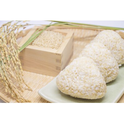 令和7年産 ひとめぼれ 5kg 玄米 米 お米 精米 おにぎり お弁当 ふっくら もっちり