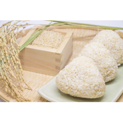 令和7年産 ひとめぼれ 5kg 玄米 米 お米 精米 おにぎり お弁当 ふっくら もっちり