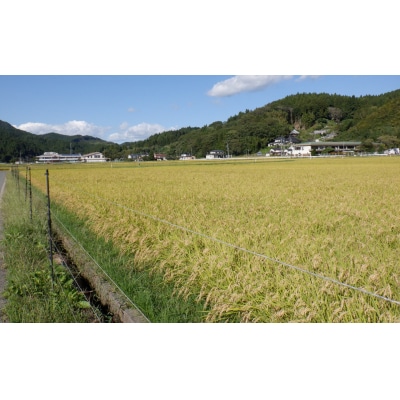 ★新米★ 令和7年産 ひとめぼれ 10kg 玄米 米 おにぎり お弁当