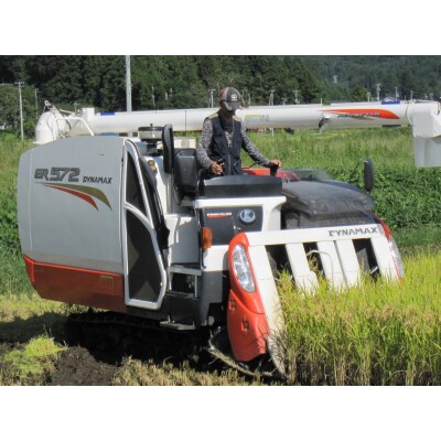 令和7年産 ひとめぼれ 白米 5kg 米 精米 おにぎり お弁当 ふっくら もっちり