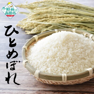 先行受付 令和8年産 ひとめぼれ 白米 10kg 新米 米 精米 おにぎり 弁当 ふっくら もっちり