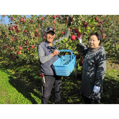 【新米】令和7年産 ひとめぼれ 白米 10kg 白米 米 おにぎり お弁当