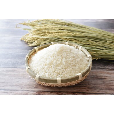 先行受付 令和8年産 ひとめぼれ 白米 10kg 新米 米 精米 おにぎり 弁当 ふっくら もっちり