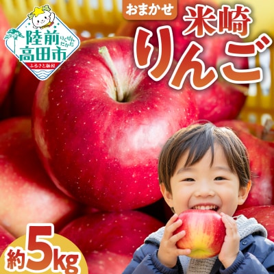 数量限定 米崎りんご5kg 品種おまかせ 【 旬 りんご リンゴ フルーツ 産地直送 家庭用 】