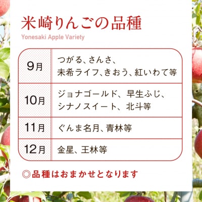 数量限定 米崎りんご5kg 品種おまかせ 【 旬 りんご リンゴ フルーツ 産地直送 家庭用 】