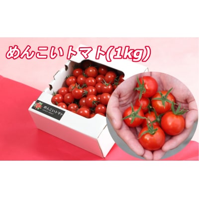 先行受付 フルーツトマト 約1kg 【 めんこいトマト 】 とまと フルーツ 野菜 